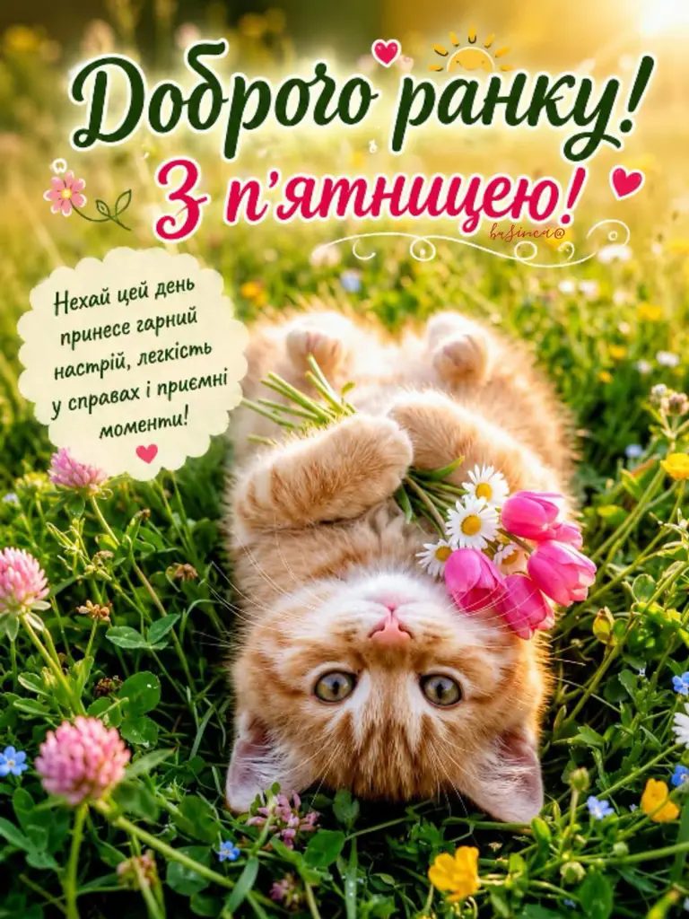 Доброго ранку, п’ятниця