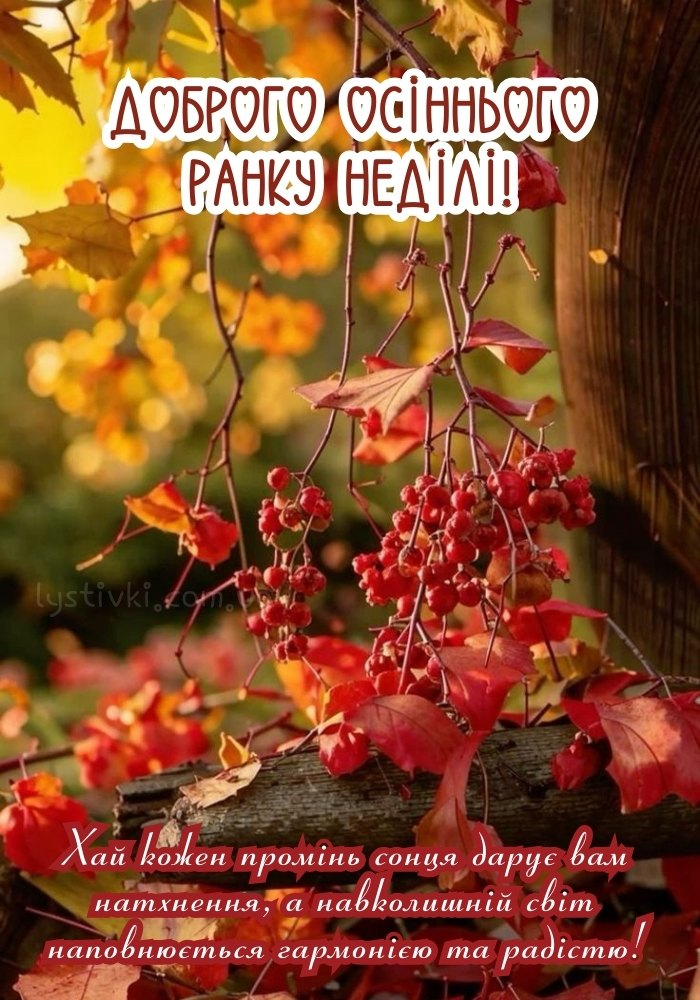 Доброго ранку, неділя