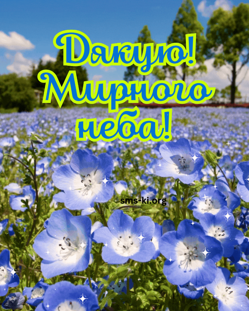 Щиро дякую за привітання, мирного неба