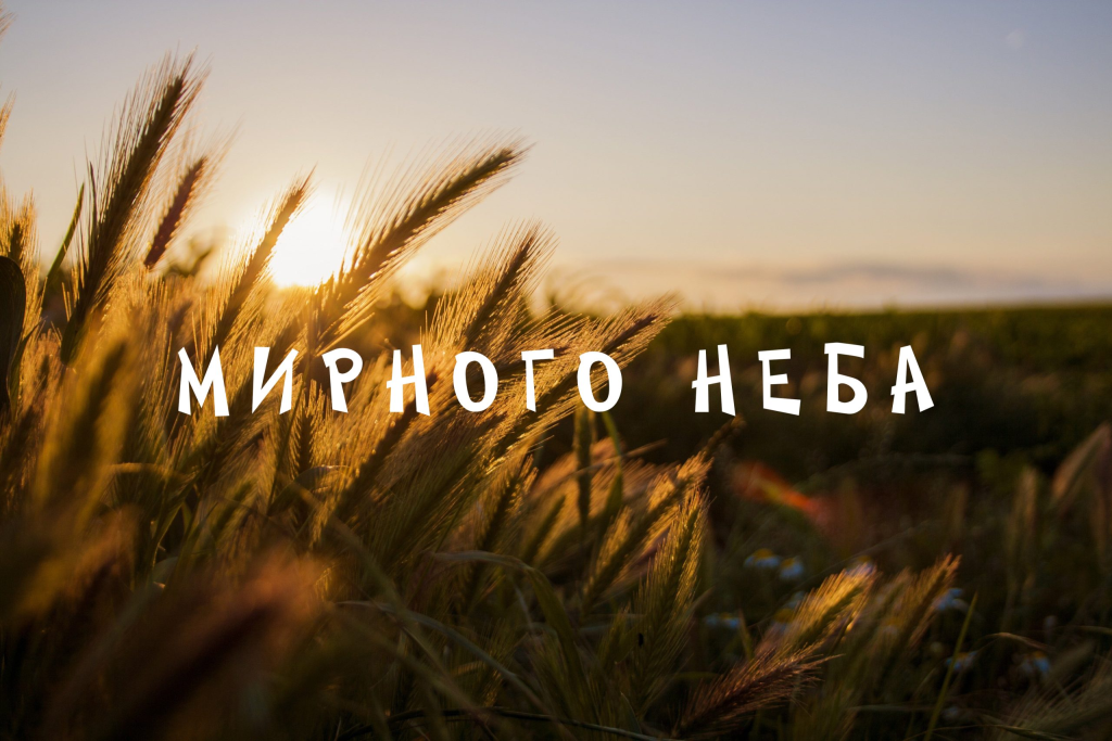 Щиро дякую за привітання, мирного неба