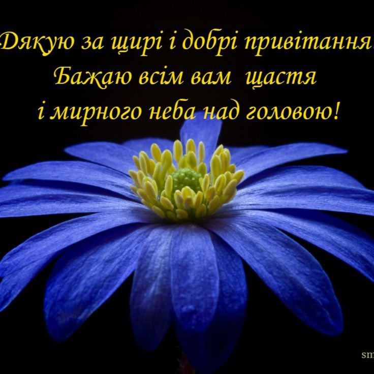 Щиро дякую за привітання, мирного неба