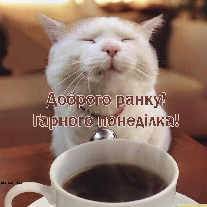 Доброго ранку, понеділок