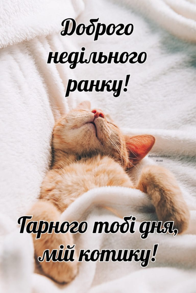 Доброго ранку, неділя