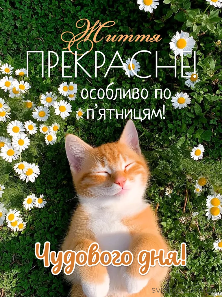 Доброго ранку, п’ятниця