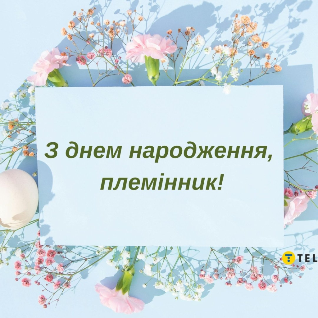 З Днем народження племіннику