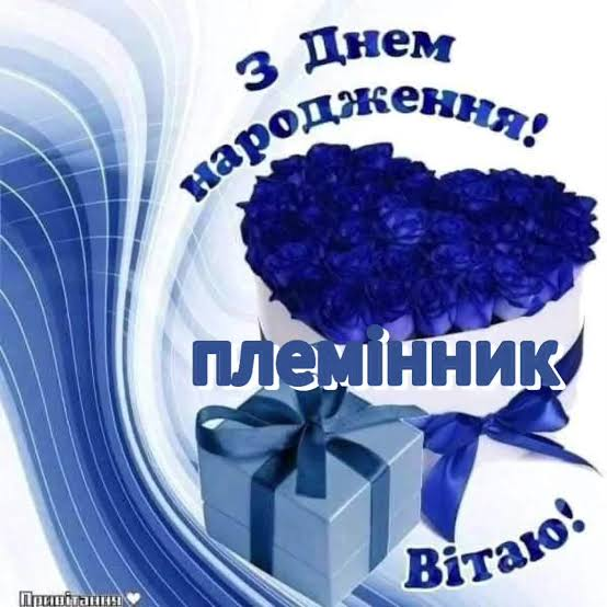 З Днем народження племіннику
