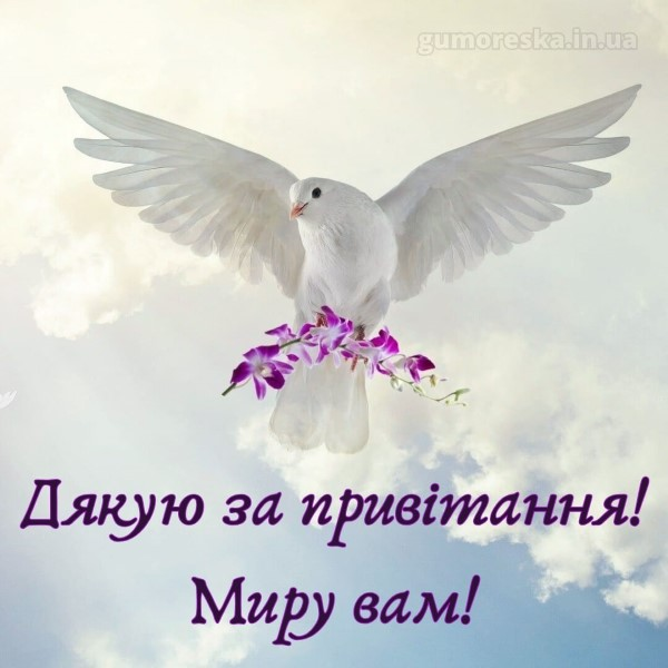 Щиро дякую за привітання, мирного неба
