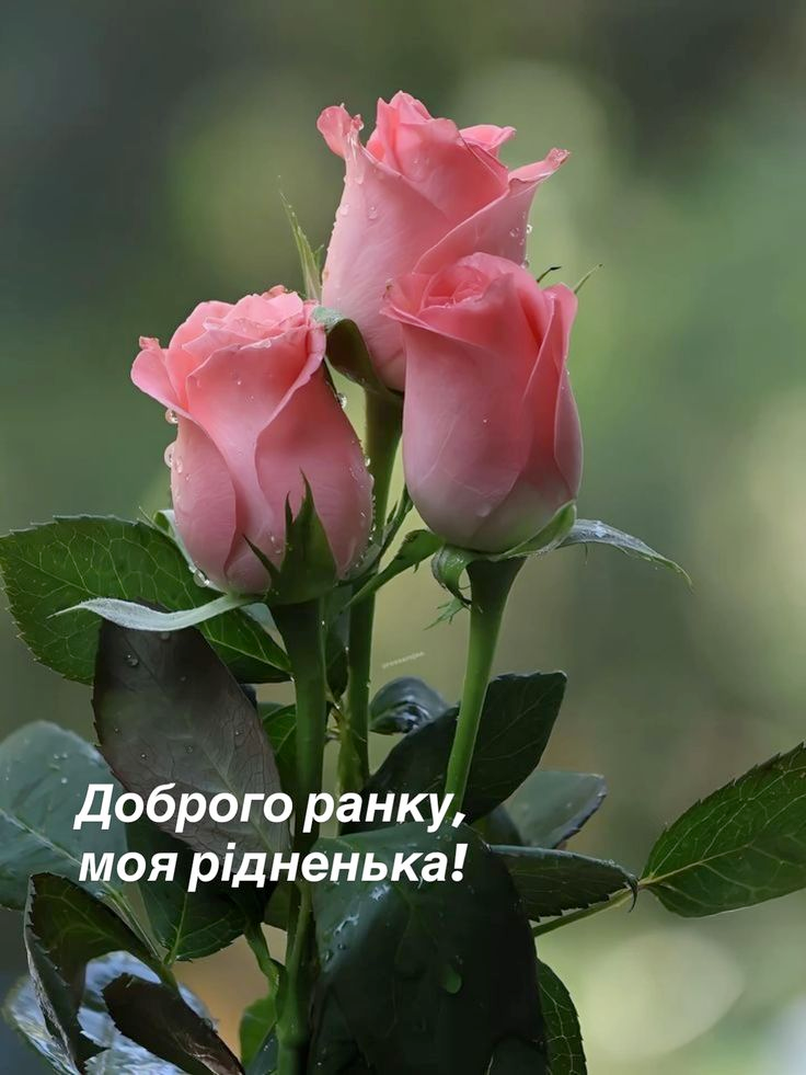 Доброго ранку коханій