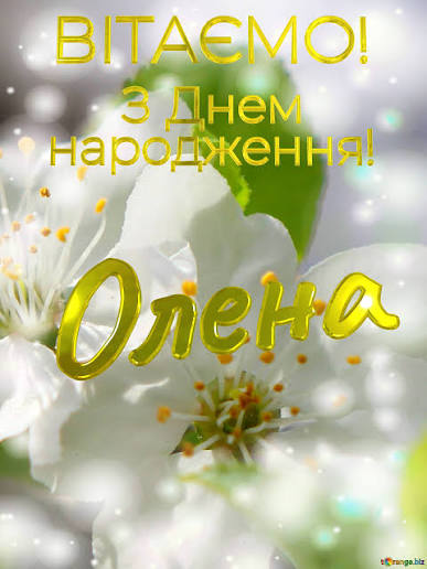 Привітання з Днем народження Олени